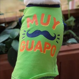 Meet your Posher, Raul